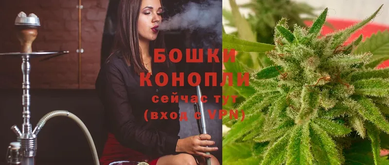 Каннабис White Widow  Георгиевск 